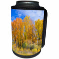 3dRose Danita Delimont - Trees - USA, Colorado, Curecanti NRA, Cottonwood and willows in fall color. - Can Cooler Bottle Wrap (cc_259108)