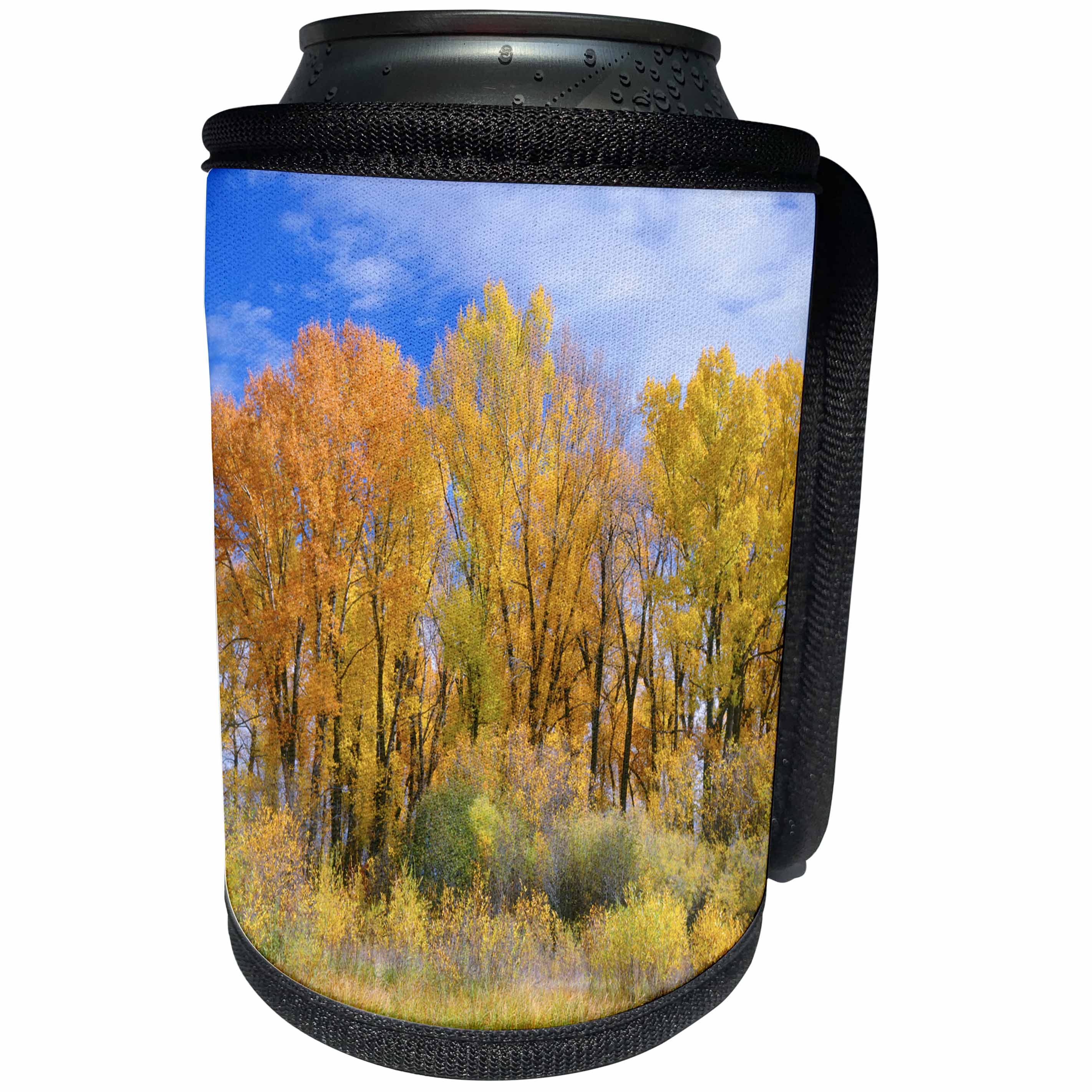 3dRose Danita Delimont - Trees - USA, Colorado, Curecanti NRA, Cottonwood and willows in fall color. - Can Cooler Bottle Wrap (cc_259108)