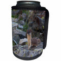 3dRose Danita Delimont - Weasels - Usa, Colorado, American Basin, Weasel hunting among the rocky fields. - Can Cooler Bottle Wrap (cc_259115)