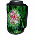 3dRose Danita Delimont - Flowers - USA, Colorado, Jones Pass, Queens Crown, Rhodiola rhodantha,wildflower - Can Cooler Bottle Wrap (cc_259117)