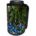 3dRose Danita Delimont - flowers - USA, Colorado, American Basin, Alpine Spring Beauty and Forget-Me-Not - Can Cooler Bottle Wrap (cc_259118)