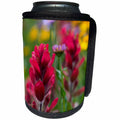 3dRose Danita Delimont - Flowers - Colorado, Jones Pass, Alpine Wildflowers with Paintbrush - Can Cooler Bottle Wrap (cc_259121)