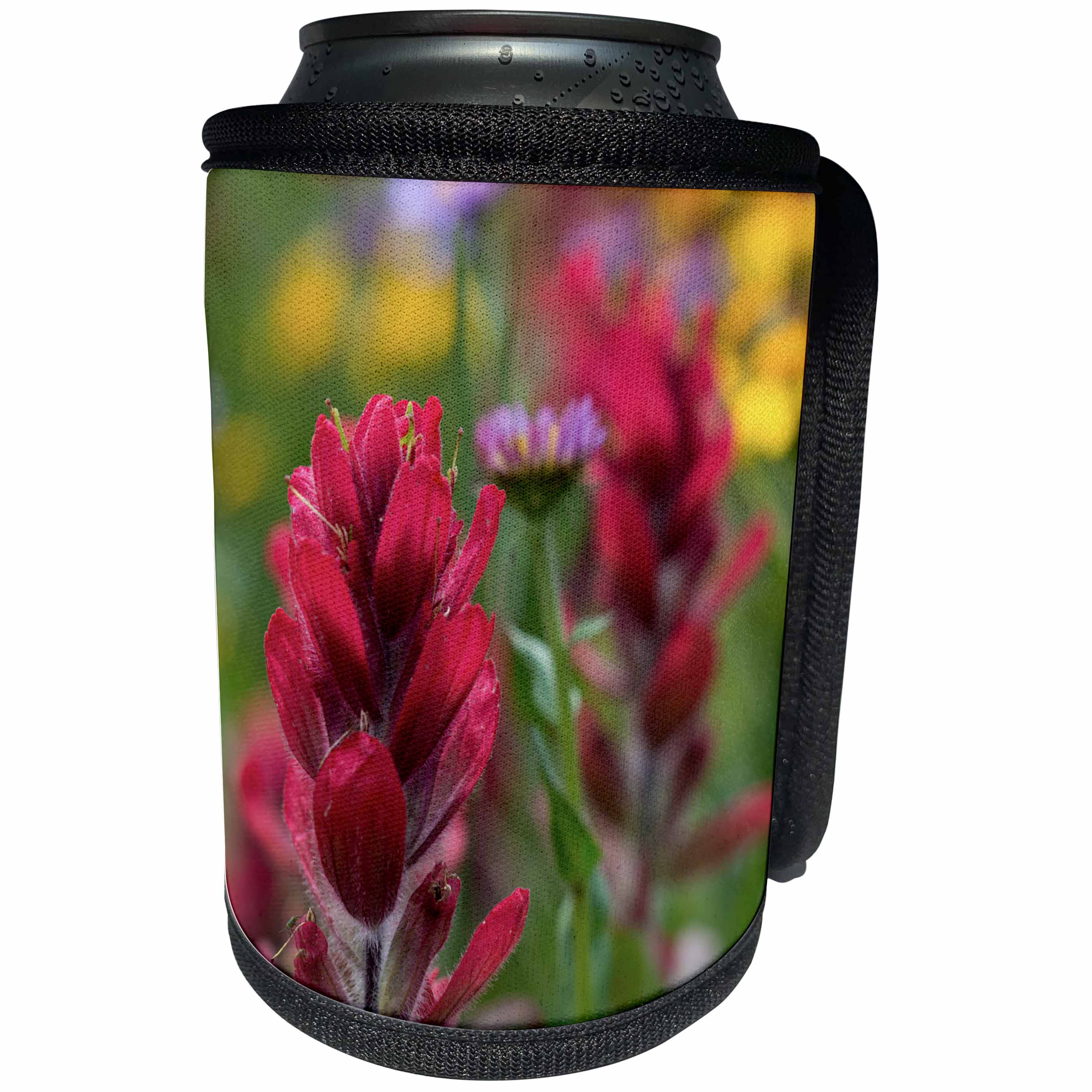 3dRose Danita Delimont - Flowers - Colorado, Jones Pass, Alpine Wildflowers with Paintbrush - Can Cooler Bottle Wrap (cc_259121)