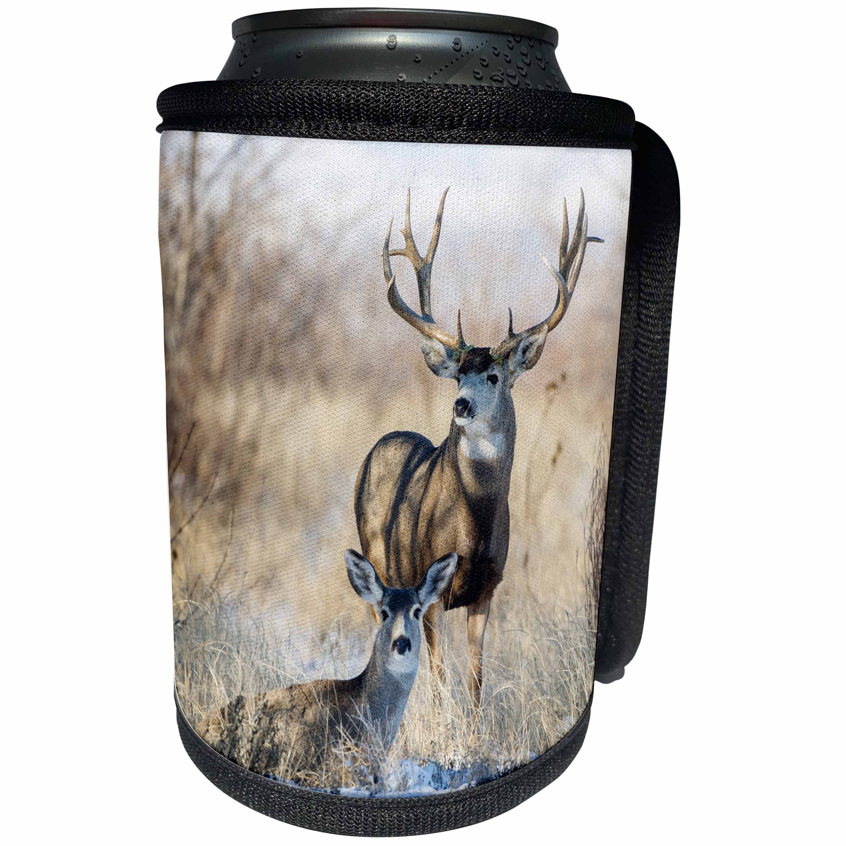 3dRose Danita Delimont - Deer - Mule Deer, Odocoileus hemionus, buck and doe bedded - Can Cooler Bottle Wrap (cc_259122)