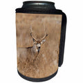 3dRose Danita Delimont - Deer - Mule Deer buck in winter grassland, Denver, Colorado - Can Cooler Bottle Wrap (cc_259123)