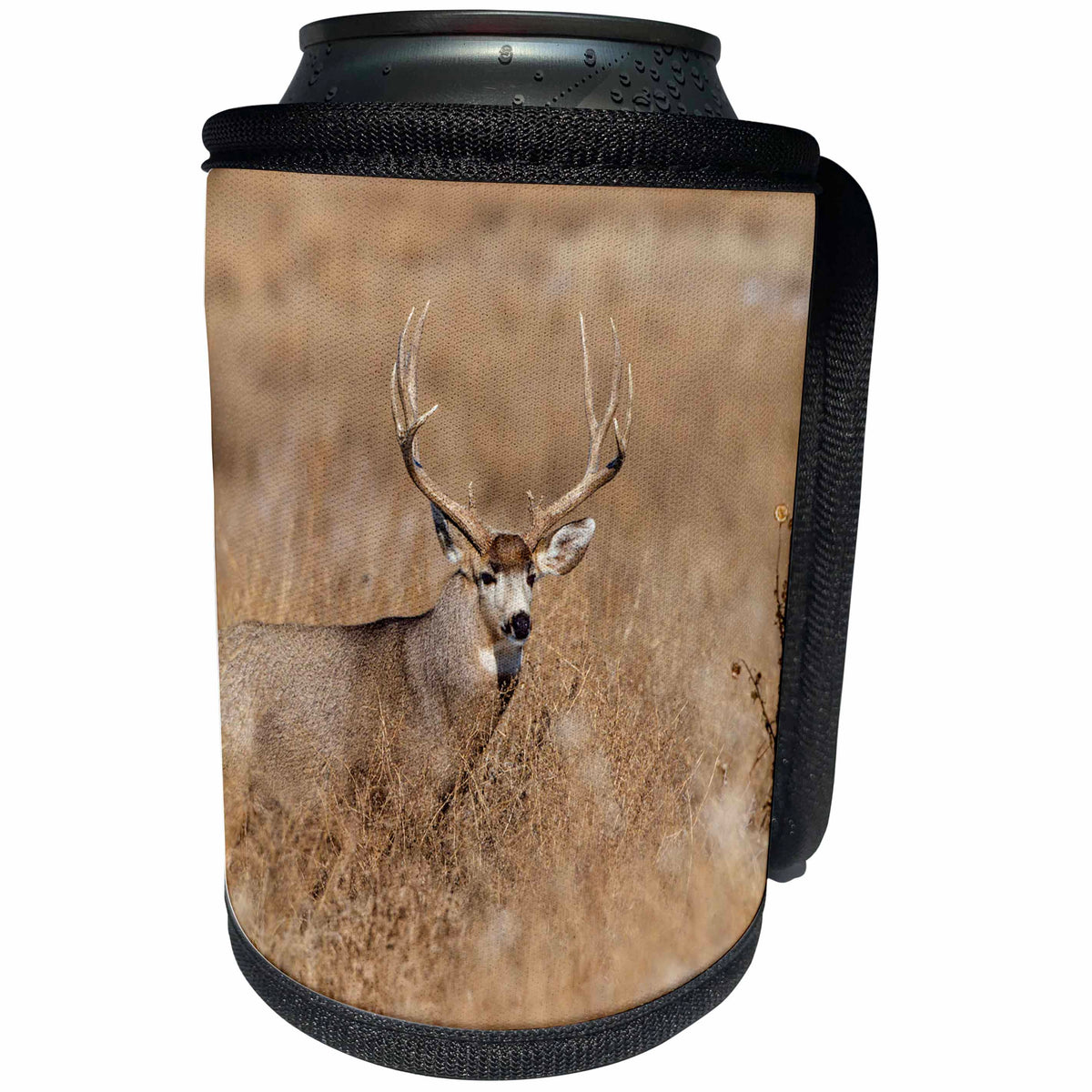 3dRose Danita Delimont - Deer - Mule Deer buck in winter grassland, Denver, Colorado - Can Cooler Bottle Wrap (cc_259123)