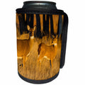 3dRose Danita Delimont - Deer - White-tailed Deer, Odocoileus virginianus, doe and fawn - Can Cooler Bottle Wrap (cc_259126)