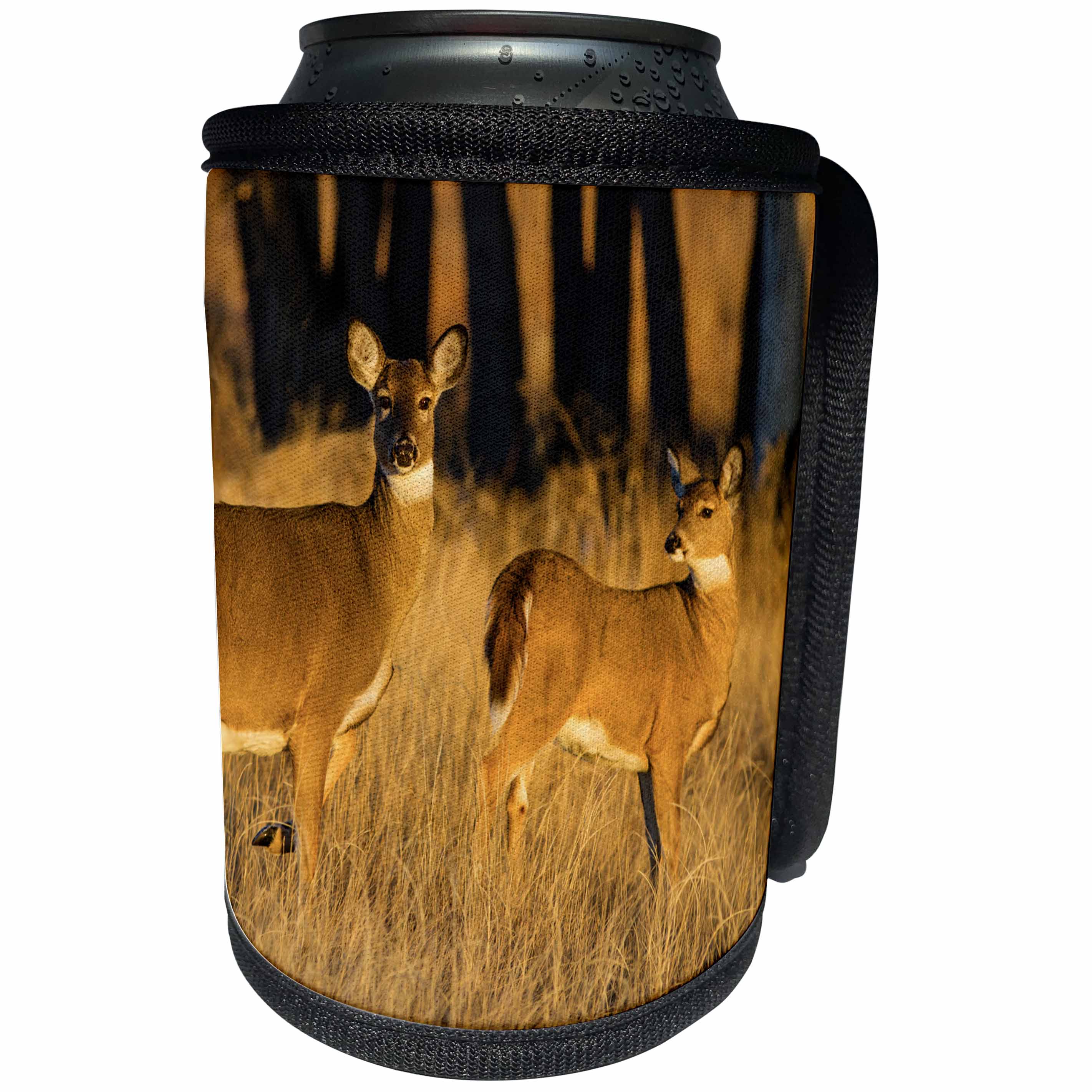 3dRose Danita Delimont - Deer - White-tailed Deer, Odocoileus virginianus, doe and fawn - Can Cooler Bottle Wrap (cc_259126)