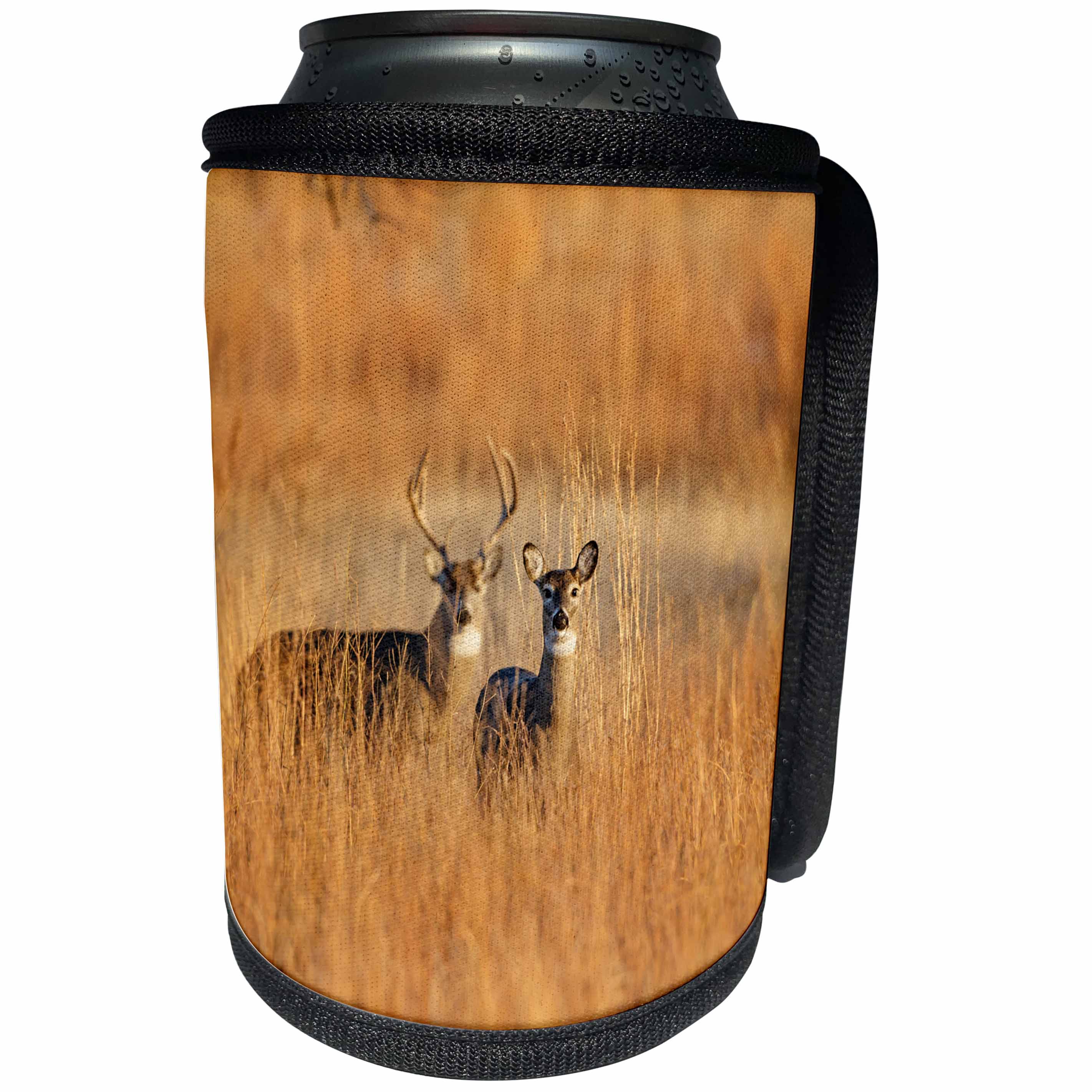 3dRose Danita Delimont - deer - White-tailed Deer male and female in grassland habitat - Can Cooler Bottle Wrap (cc_259127)