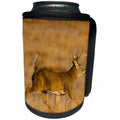 3dRose Danita Delimont - Deer - White-tailed Deer male running, Colorado - Can Cooler Bottle Wrap (cc_259128)