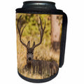 3dRose Danita Delimont - Deer - Colorado, Rocky Mountain National Park, Blacktail deer. - Can Cooler Bottle Wrap (cc_259129)