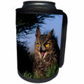 3dRose Danita Delimont - Owls - Great Horned Owl hooting in a pine tree, Colorado - Can Cooler Bottle Wrap (cc_259130)