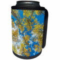 3dRose Danita Delimont - Trees - Usa, Colorado, Gunnison National Forest, Aspen Grove with Autumn Color - Can Cooler Bottle Wrap (cc_259131)