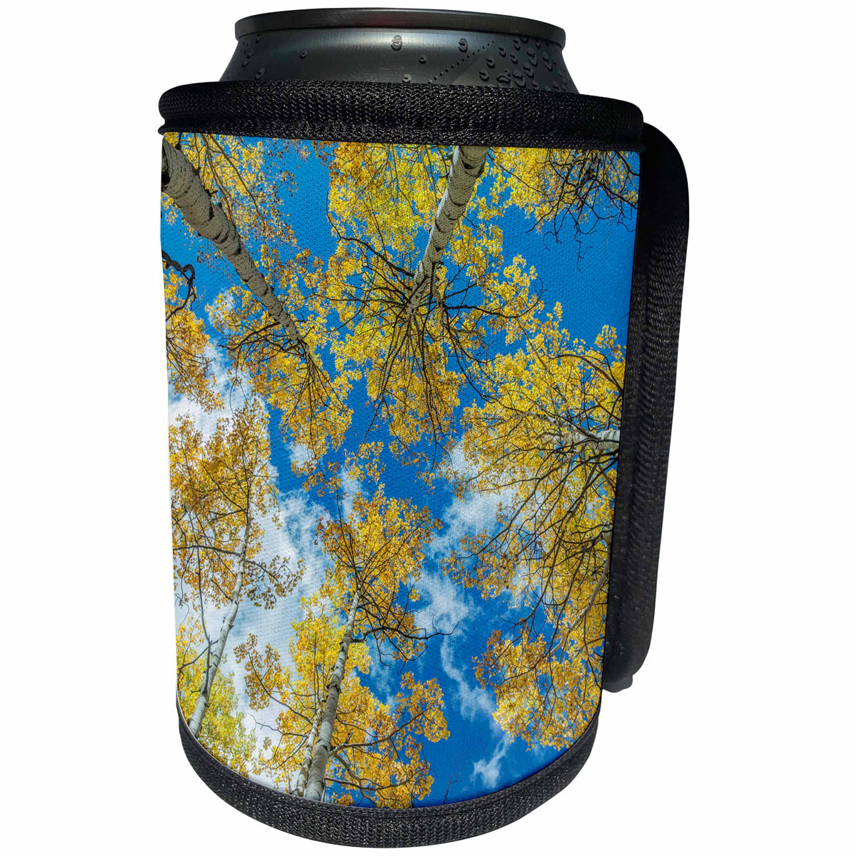 3dRose Danita Delimont - Trees - Usa, Colorado, Gunnison National Forest, Aspen Grove with Autumn Color - Can Cooler Bottle Wrap (cc_259131)