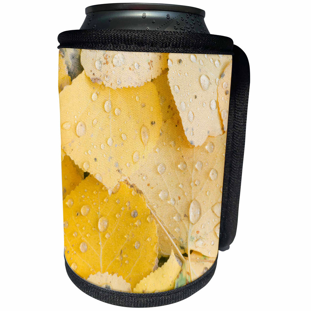 3dRose Danita Delimont - Botanical - Usa, Colorado, Gunnison National Forest, Water Drops on Aspen Leaves - Can Cooler Bottle Wrap (cc_259132)