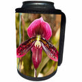 3dRose Danita Delimont - Flowers - USA, Florida, Sarasota, Unusual Orchid - Can Cooler Bottle Wrap (cc_259167)