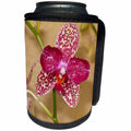 3dRose Danita Delimont - Flowers - USA, Florida, Sarasota, Spotted Orchid - Can Cooler Bottle Wrap (cc_259170)