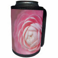 3dRose Danita Delimont - Flowers - USA, Florida. Pink camellia close-up. - Can Cooler Bottle Wrap (cc_259178)