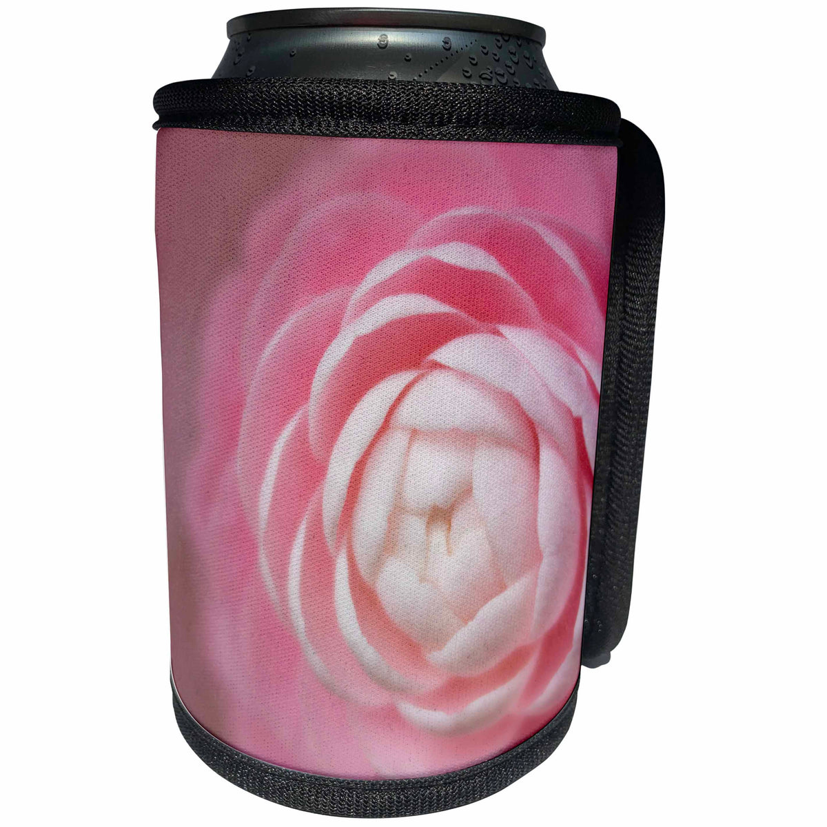 3dRose Danita Delimont - Flowers - USA, Florida. Pink camellia close-up. - Can Cooler Bottle Wrap (cc_259178)