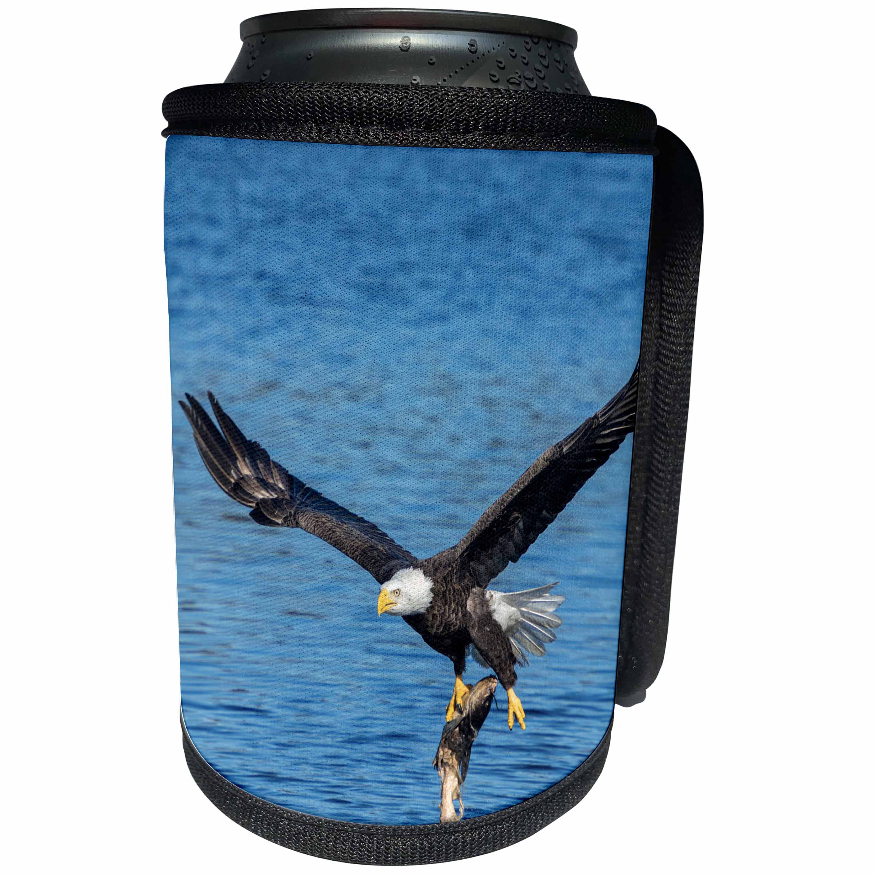 3dRose Danita Delimont - Birds of Prey - USA, Florida, Orange City, St. John River, eagle catching fish - Can Cooler Bottle Wrap (cc_259179)