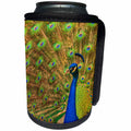 3dRose Danita Delimont - Birds - USA, Florida, St. Augustine, Peacock strutting in breeding plumage. - Can Cooler Bottle Wrap (cc_259187)