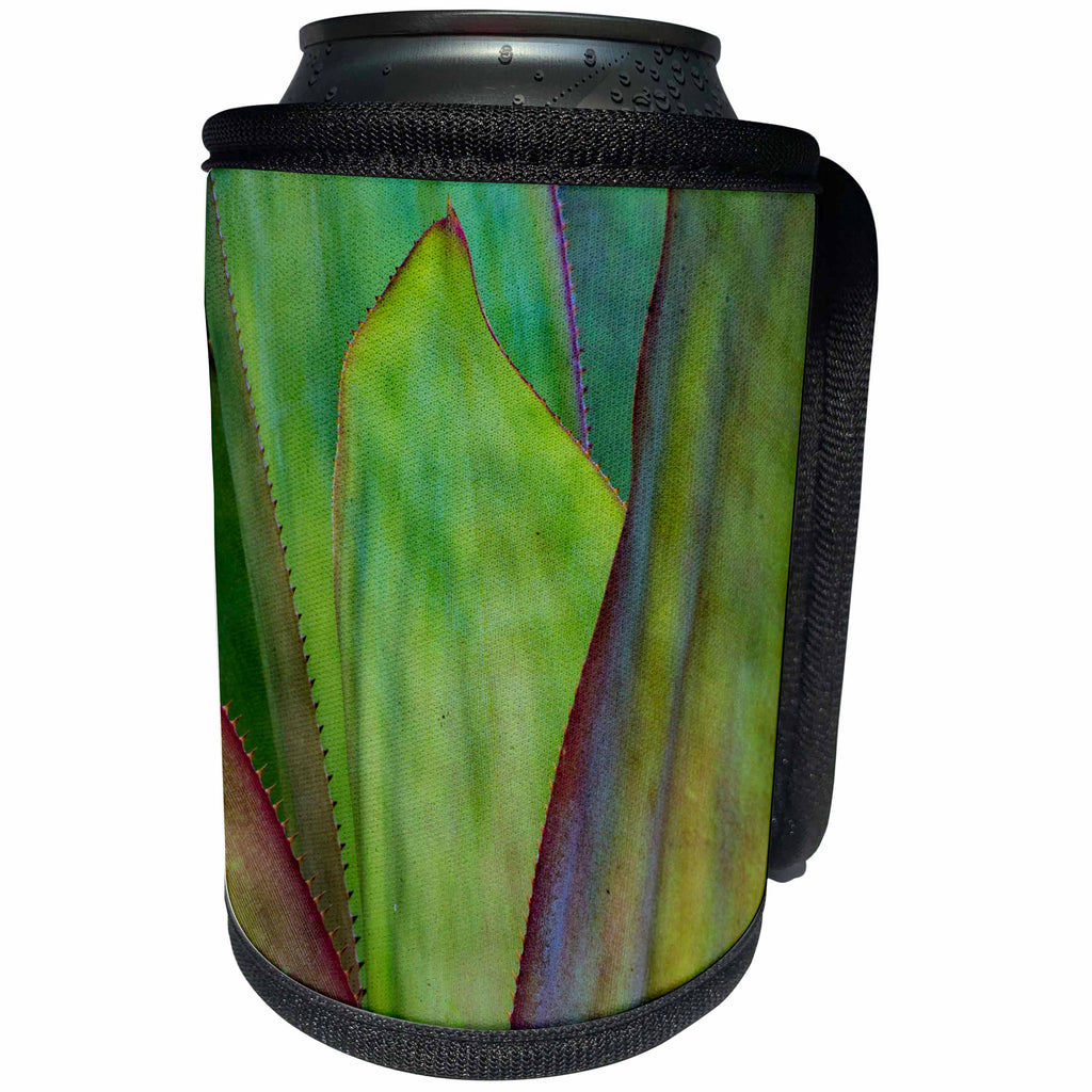 3dRose Danita Delimont - Abstracts - Usa, Florida, Agave detail - Can Cooler Bottle Wrap (cc_259190)