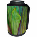 3dRose Danita Delimont - Abstracts - Usa, Florida, Agave detail - Can Cooler Bottle Wrap (cc_259190)