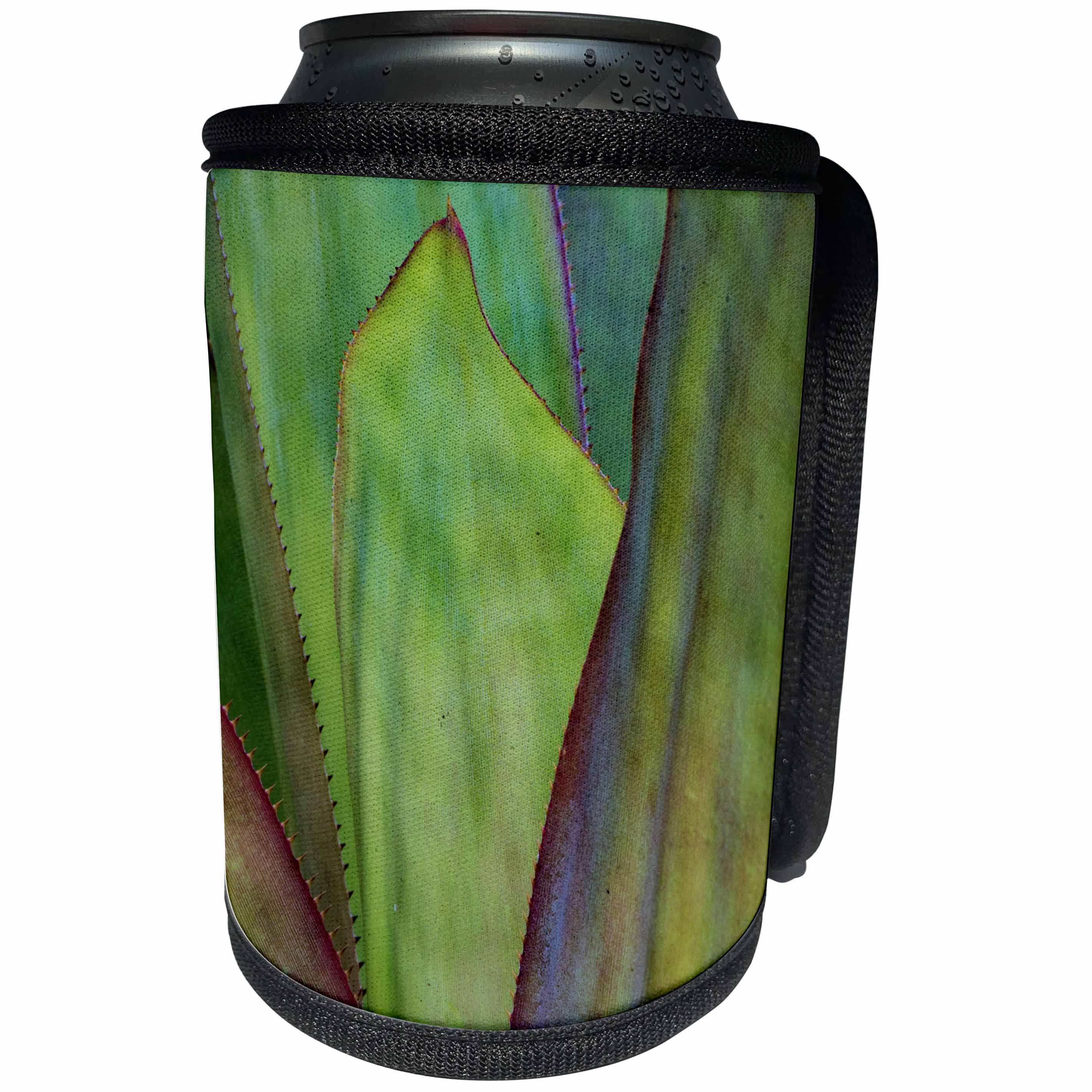 3dRose Danita Delimont - Abstracts - Usa, Florida, Agave detail - Can Cooler Bottle Wrap (cc_259190)