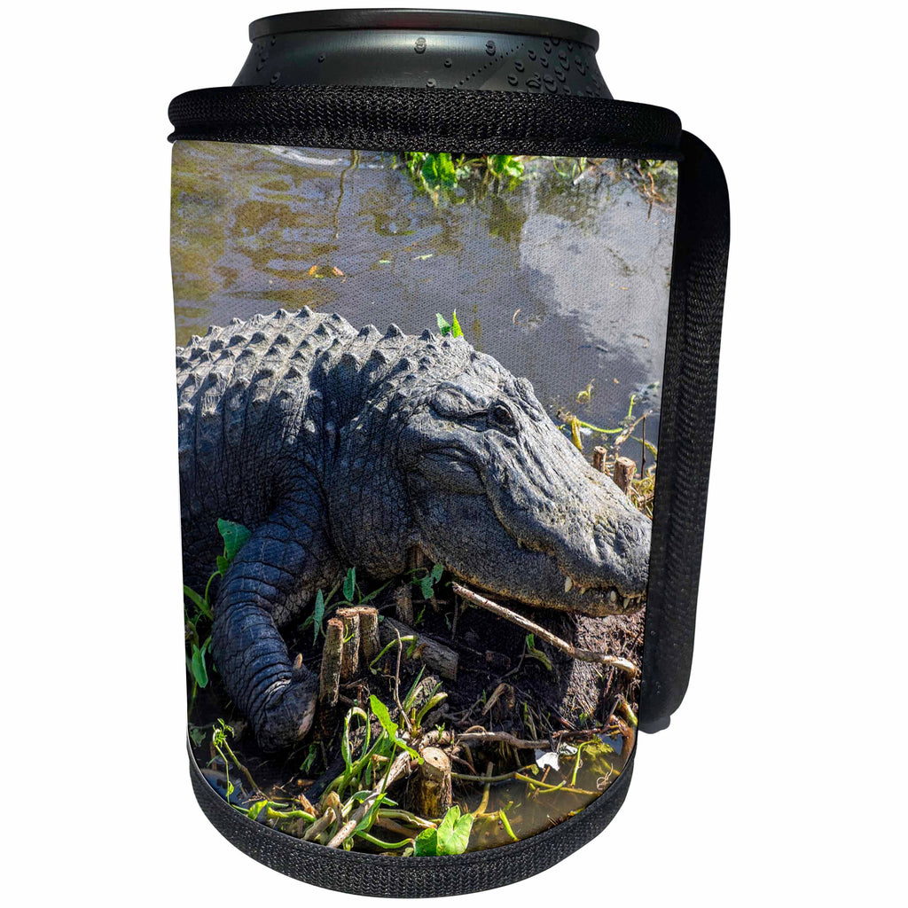 3dRose Danita Delimont - Reptiles - USA, Florida, Orlando, alligator basking on mud island - Can Cooler Bottle Wrap (cc_259194)