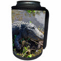 3dRose Danita Delimont - Reptiles - USA, Florida, Orlando, alligator basking on mud island - Can Cooler Bottle Wrap (cc_259194)