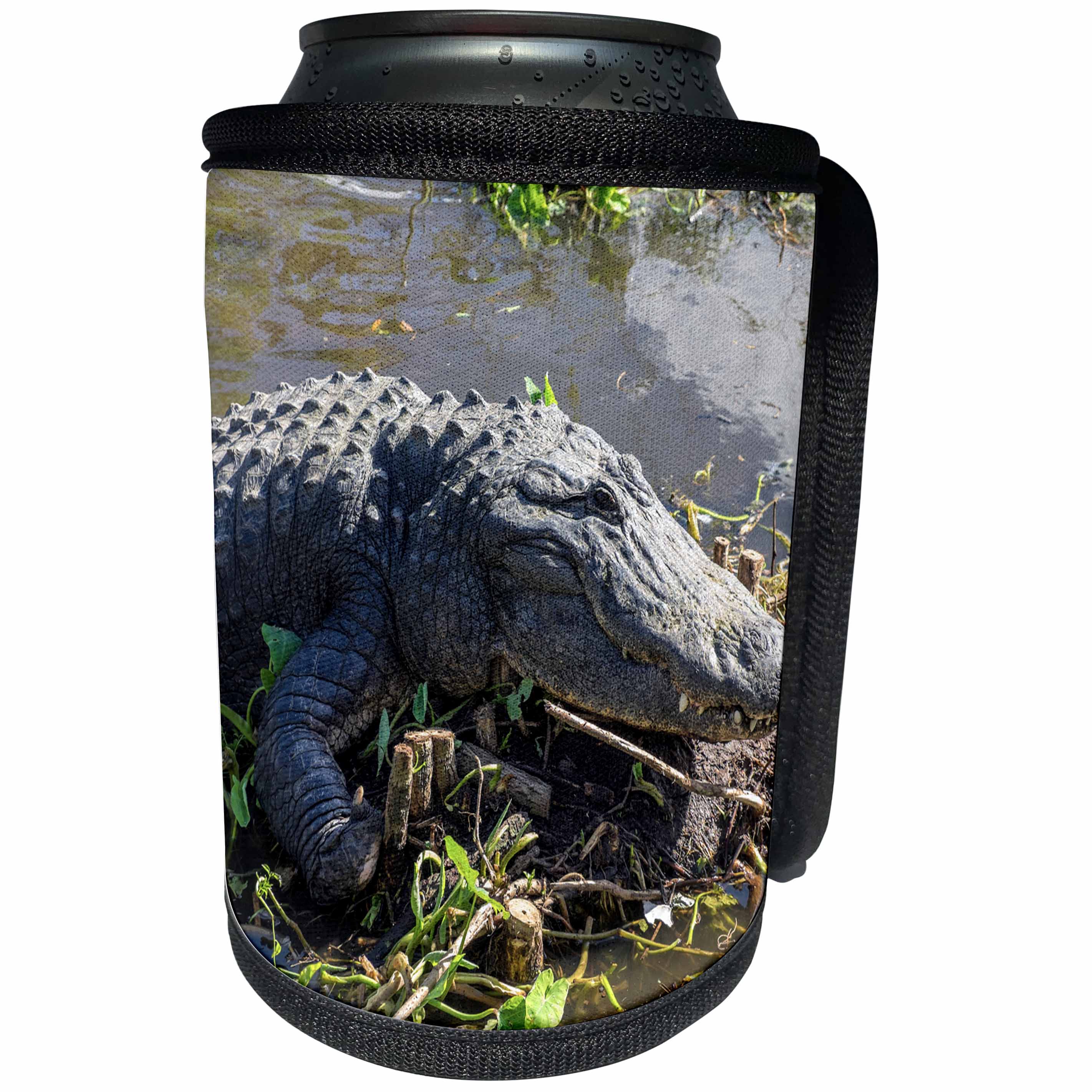 3dRose Danita Delimont - Reptiles - USA, Florida, Orlando, alligator basking on mud island - Can Cooler Bottle Wrap (cc_259194)