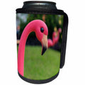 3dRose Danita Delimont - Objects - USA, Florida, New Smyrna Beach, plastic pink flamingo - Can Cooler Bottle Wrap (cc_259195)