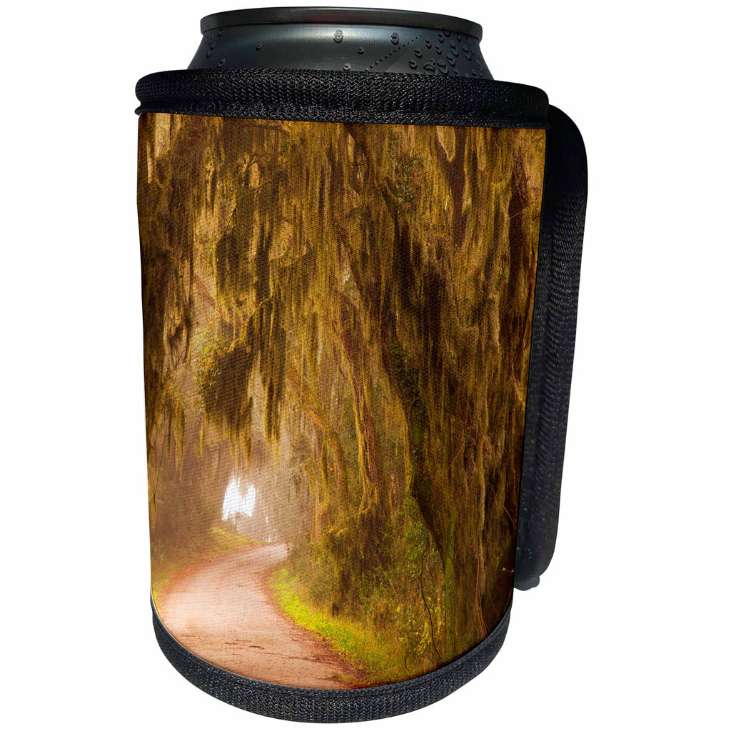 3dRose Danita Delimont - Roads - Moss draped trees along Laurel Hill Drive, Savannah NWR, Georgia - Can Cooler Bottle Wrap (cc_259207)