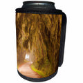 3dRose Danita Delimont - Roads - Moss draped trees along Laurel Hill Drive, Savannah NWR, Georgia - Can Cooler Bottle Wrap (cc_259207)