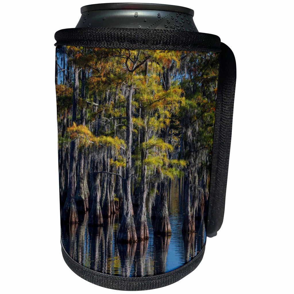 3dRose Danita Delimont - Trees - USA, Georgia, George L. Smith State Park, Pond Cypress. - Can Cooler Bottle Wrap (cc_259213)