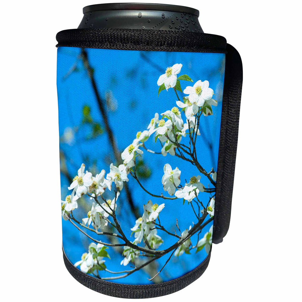 3dRose Danita Delimont - Flowers - USA, Georgia, Savannah, flowering dogwood - Can Cooler Bottle Wrap (cc_259214)