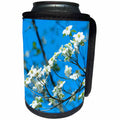 3dRose Danita Delimont - Flowers - USA, Georgia, Savannah, flowering dogwood - Can Cooler Bottle Wrap (cc_259214)