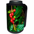 3dRose Danita Delimont - Food - Kona coffee cherries on the vine, Captain Cook, Big Island, Hawaii. - Can Cooler Bottle Wrap (cc_259240)