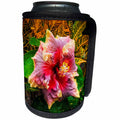 3dRose Danita Delimont - Flowers - Hibiscus flower, Kona Coast, The Big Island, Hawaii, Usa - Can Cooler Bottle Wrap (cc_259241)