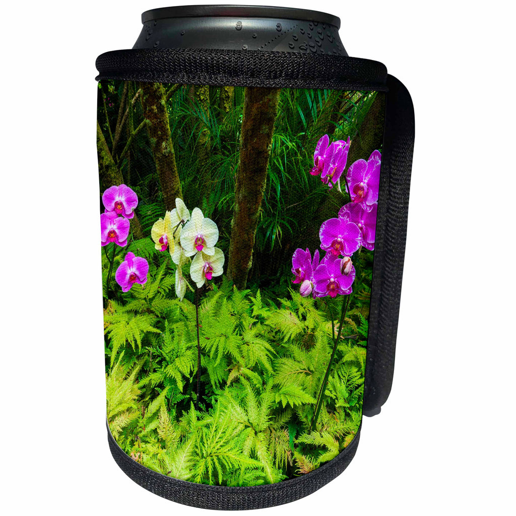3dRose Danita Delimont - Flowers - Orchid flowers, Hamakua Coast, The Big Island, Hawaii - Can Cooler Bottle Wrap (cc_259243)