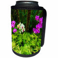 3dRose Danita Delimont - Flowers - Orchid flowers, Hamakua Coast, The Big Island, Hawaii - Can Cooler Bottle Wrap (cc_259243)