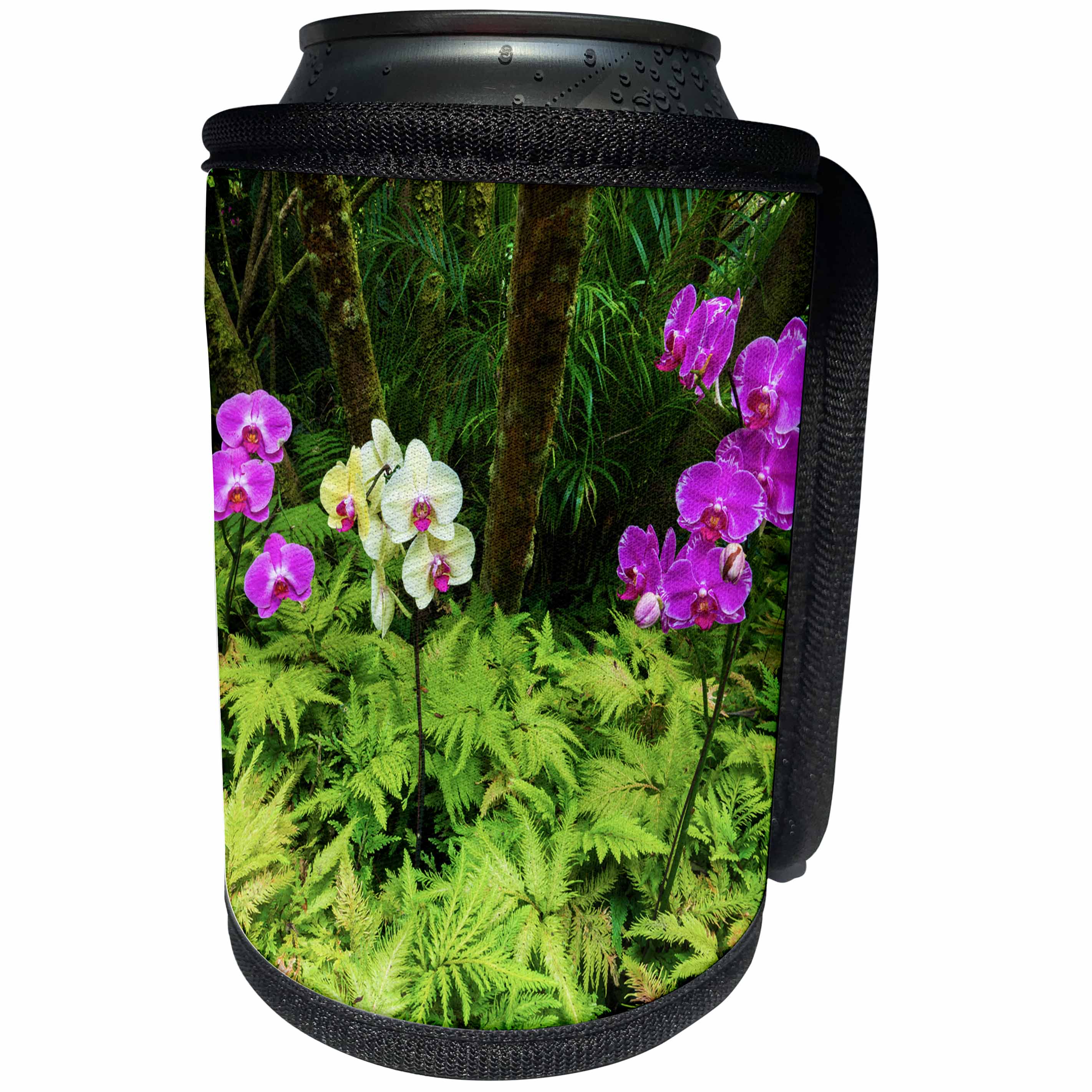 3dRose Danita Delimont - Flowers - Orchid flowers, Hamakua Coast, The Big Island, Hawaii - Can Cooler Bottle Wrap (cc_259243)