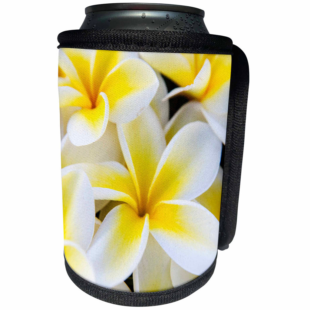 3dRose Danita Delimont - Flowers - USA, Hawaii, Maui, Close up of Plumeria flowers - Can Cooler Bottle Wrap (cc_259246)