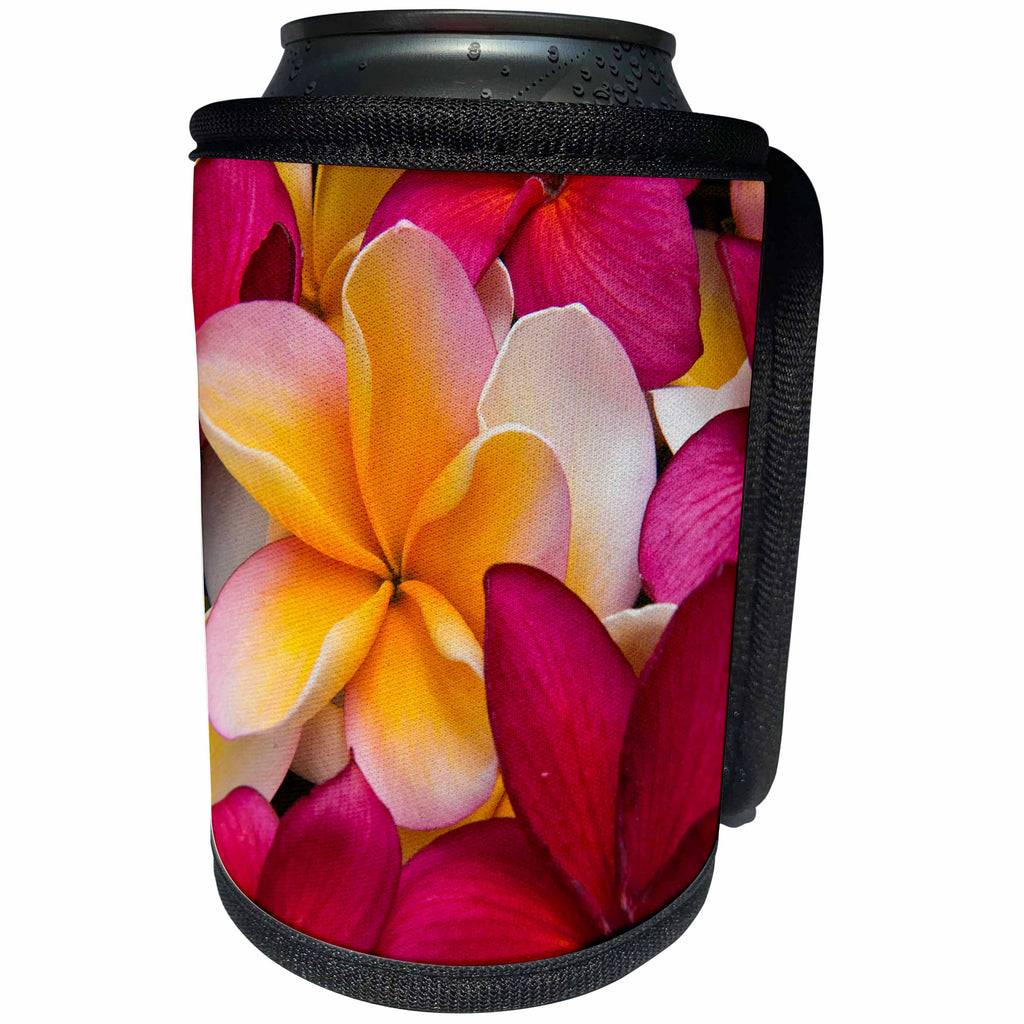 3dRose Danita Delimont - Flowers - USA, Hawaii, Maui, Red and yellow Plumeria flowers - Can Cooler Bottle Wrap (cc_259252)