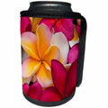 3dRose Danita Delimont - Flowers - USA, Hawaii, Maui, Red and yellow Plumeria flowers - Can Cooler Bottle Wrap (cc_259252)