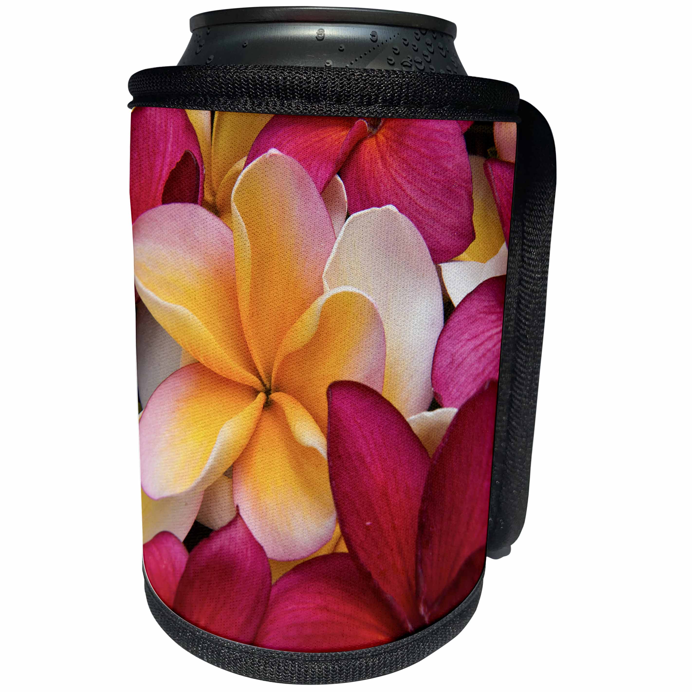 3dRose Danita Delimont - Flowers - USA, Hawaii, Maui, Red and yellow Plumeria flowers - Can Cooler Bottle Wrap (cc_259252)