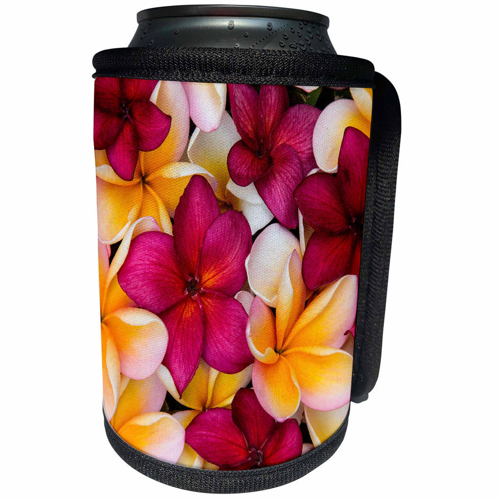 3dRose Danita Delimont - Flowers - USA, Hawaii, Maui, Plumeria in mass display - Can Cooler Bottle Wrap (cc_259253)