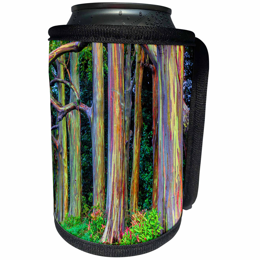 3dRose Danita Delimont - Trees - USA, Hawaii, Maui, Grove of Rainbow Eucalyptus Trees - Can Cooler Bottle Wrap (cc_259257)