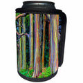 3dRose Danita Delimont - Trees - USA, Hawaii, Maui, Grove of Rainbow Eucalyptus Trees - Can Cooler Bottle Wrap (cc_259257)