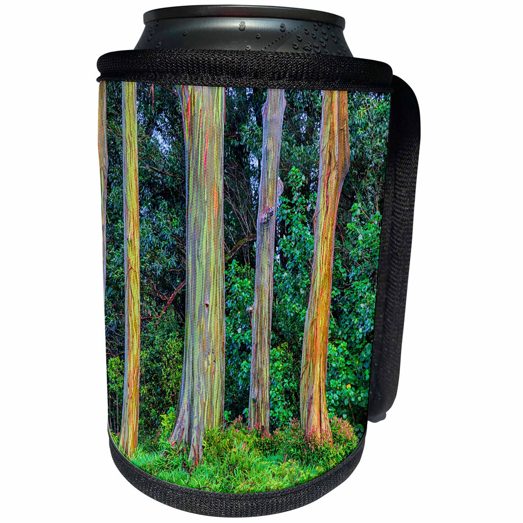 3dRose Danita Delimont - Trees - USA, Hawaii, Maui, Rainbow Eucalyptus Trees, Eucalyptus deglupta - Can Cooler Bottle Wrap (cc_259258)
